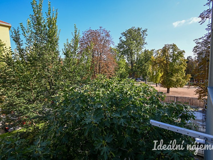 Ostatní