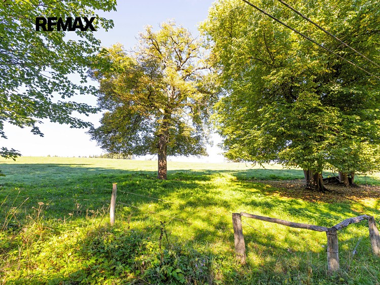 Prodej domu, 280 m² (5 z 9)
