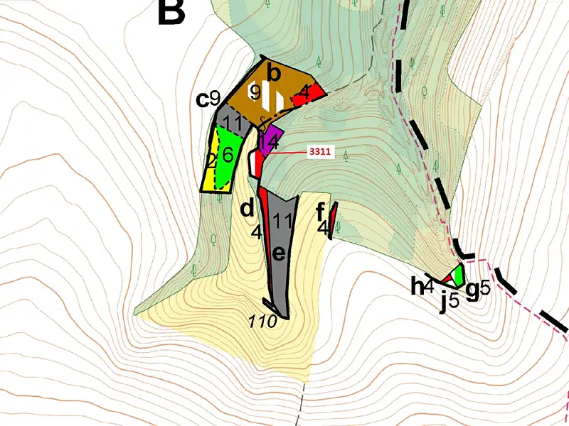 Dražba lesa 2084 m², Bělá nad Svitavou – náhled fotky 3