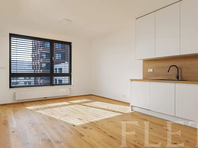 Pronájem bytu 2+kk 54 m², Praha – náhled fotky 1
