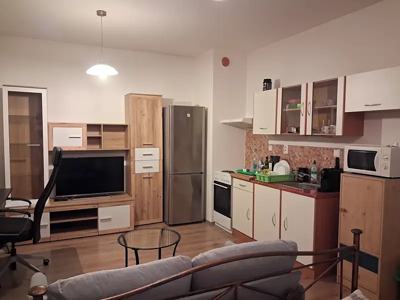 Prodej bytu 1+kk 42 m², Mladá Boleslav – náhled fotky 2