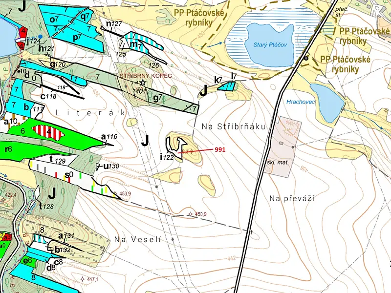 Dražba lesa 2183 m², Třebíč – náhled fotky 3