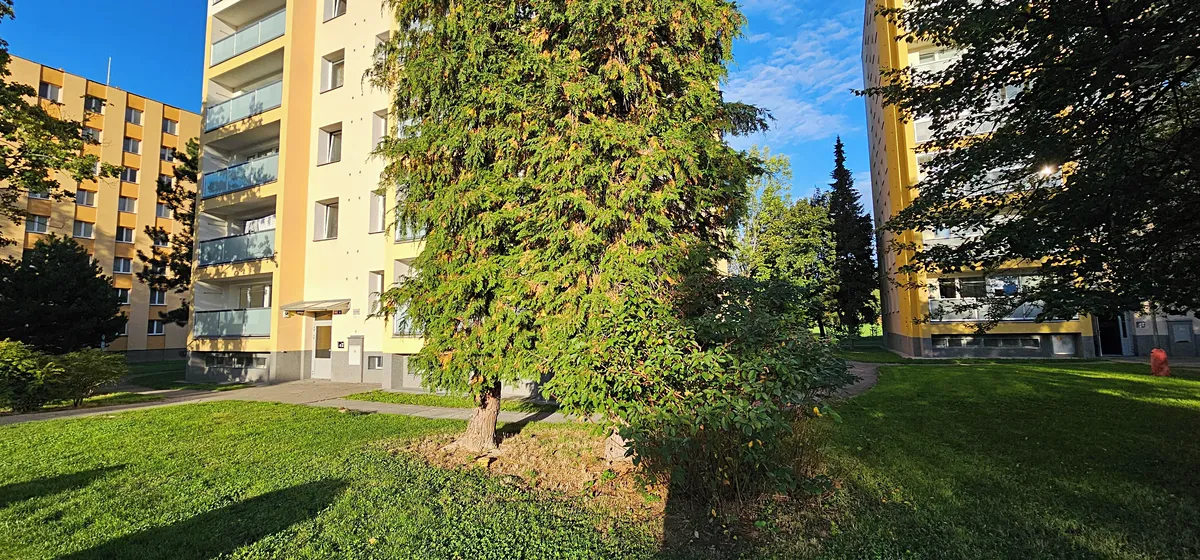 Fotka 9 z 13