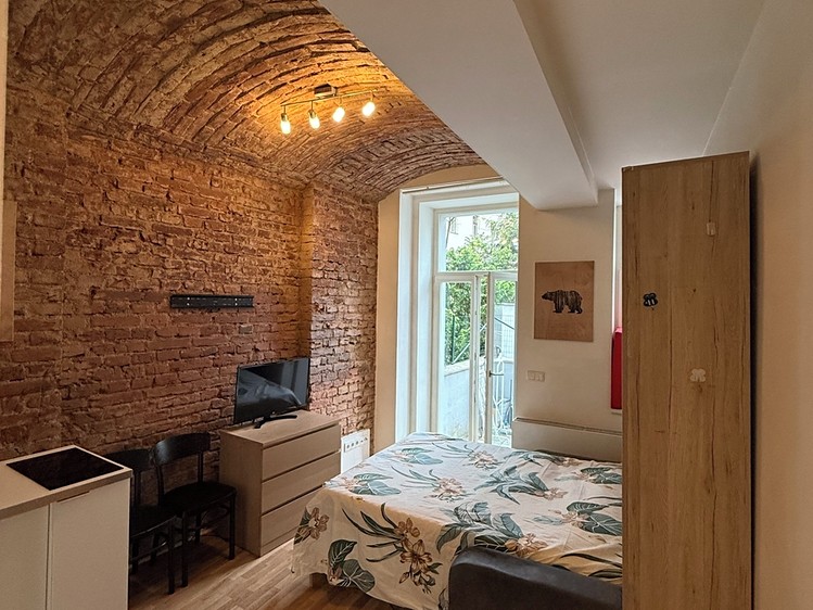 Wohnung 1+kk zur Miete, 21 m² (1 von 9)