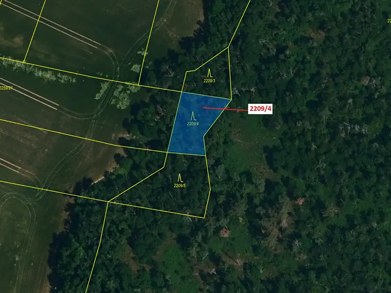 Dražba lesa 594 m², Horní Dunajovice – náhled fotky 2