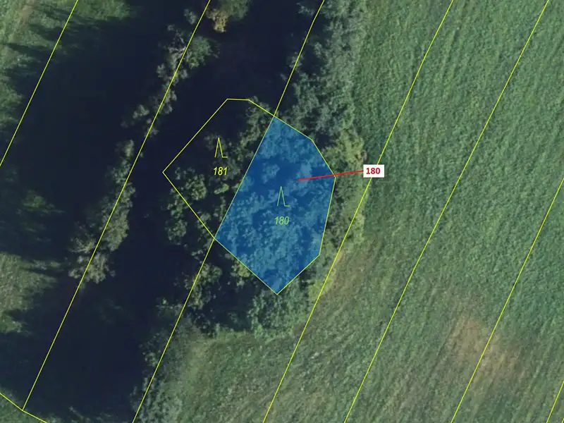Dražba lesa 568 m², Jenišovice – náhled fotky 2