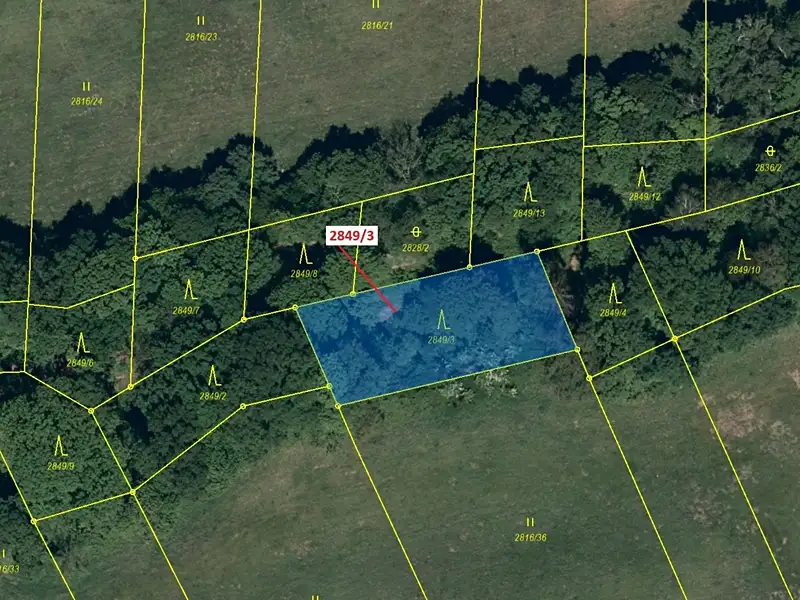 Dražba lesa 1130 m², Píšť – náhled fotky 2
