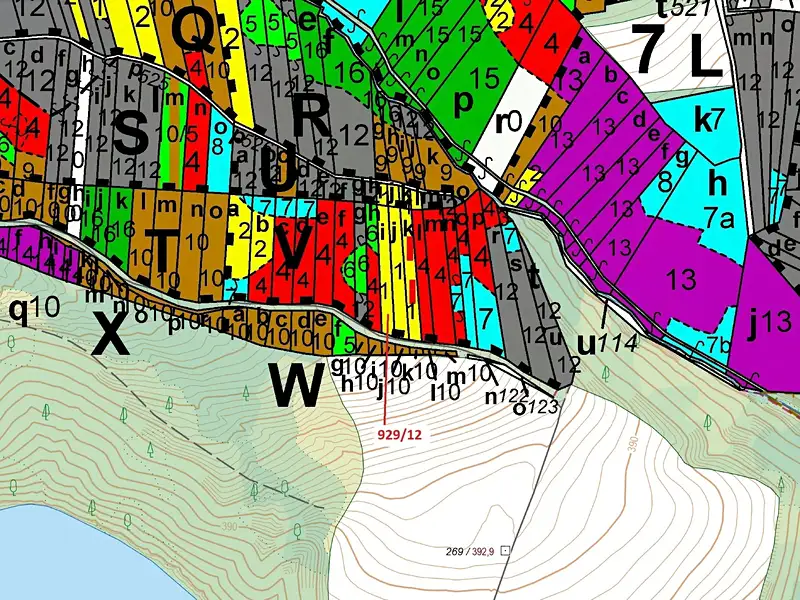 Dražba lesa 1517 m², Hosty – náhled fotky 3