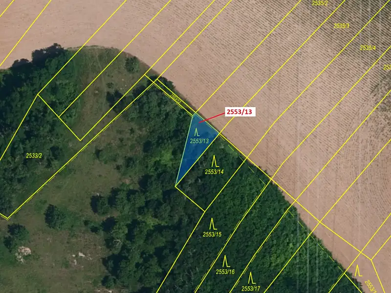 Dražba lesa 150 m², Horní Dunajovice – náhled fotky 2