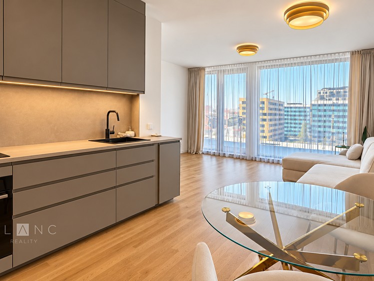 Pronájem bytu 2+kk, 60 m² (1 z 41)