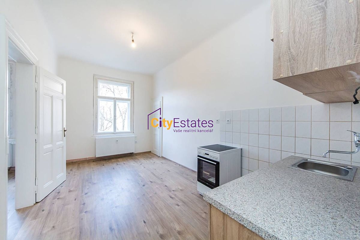 Pronájem bytu 1+1 40 m²