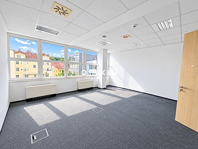 Gewerbefläche zur Miete, 300 m² (2 von 9)