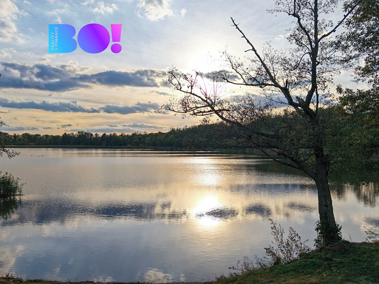 Ostatní