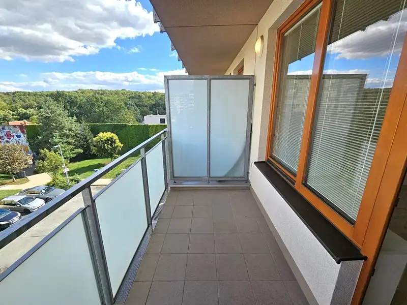 Pronájem bytu 2+kk 65 m², Praha – náhled fotky 2