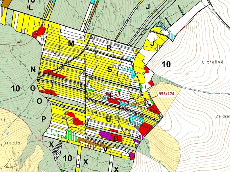 Dražba lesa 6275 m², Nová Hradečná – náhled fotky 3