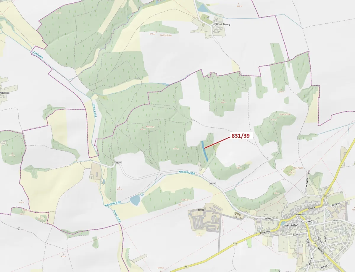 Dražba lesa 3368 m²