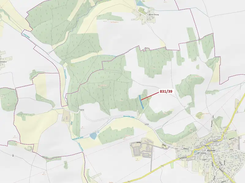 Dražba lesa 3368 m², Koloveč – náhled fotky 1