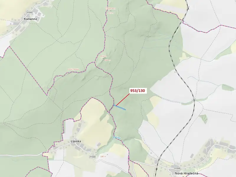 Dražba lesa 5079 m², Nová Hradečná – náhled fotky 1