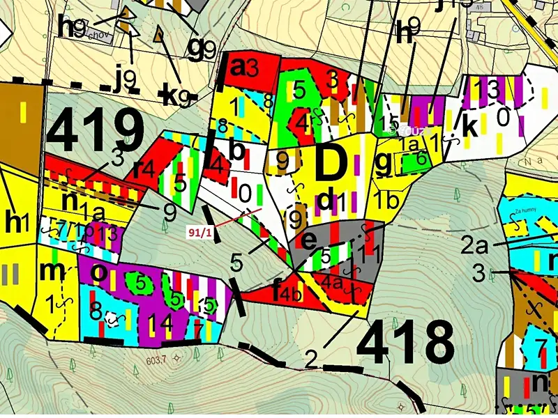 Dražba lesa 3251 m², Pačejov – náhled fotky 3