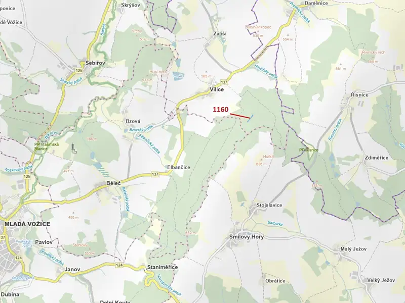 Dražba lesa 2693 m², Vilice – náhled fotky 1