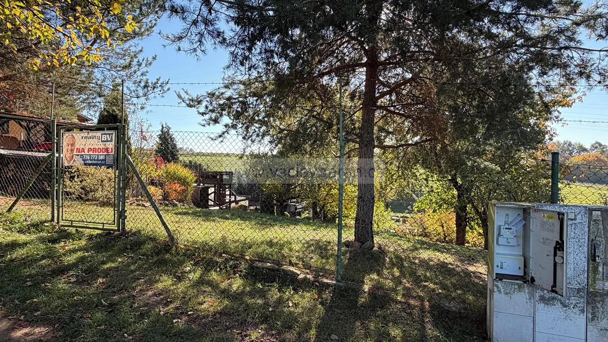 Fotka 9 z 19