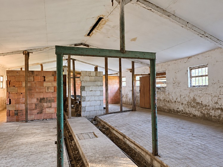 Gewerbefläche zum Kauf, 700 m² (5 von 10)