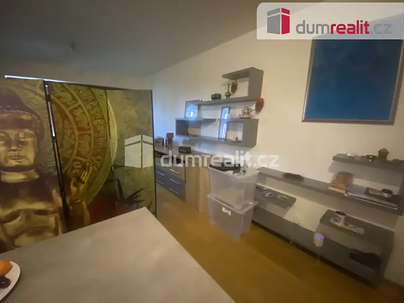 Pronájem bytu 1+kk 43 m², Praha – náhled fotky 2