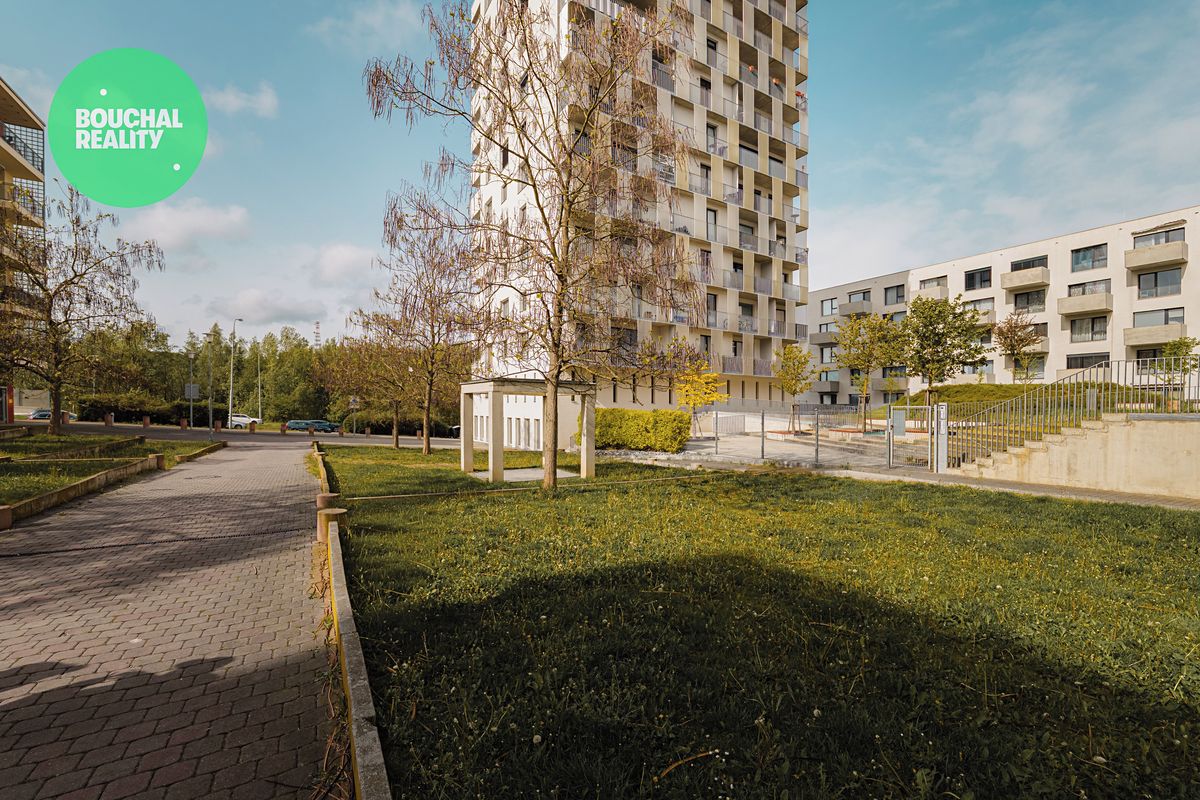 Pronájem bytu 1+kk 29 m², Plzeň – fotka 1 z 3