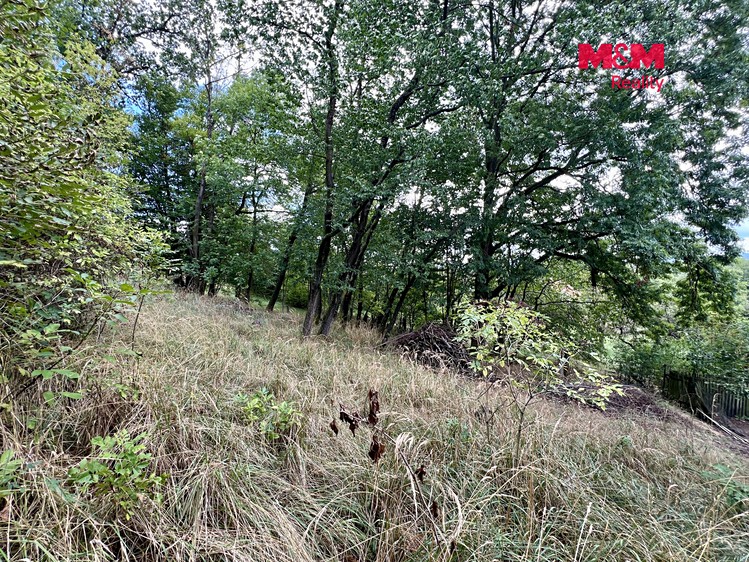 Prodej pozemku, 2 037 m² (8 z 16)