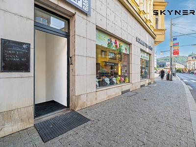 Pronájem komerčního prostoru, 122 m² (3 z 16)