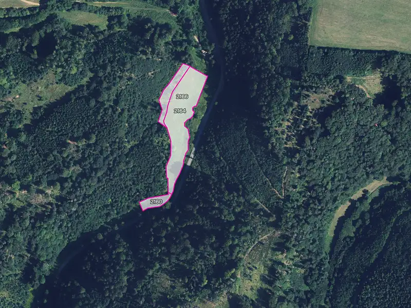 Prodej louky 10311 m², Městečko Trnávka – náhled fotky 1
