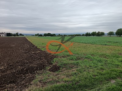 Grundstück zum Kauf, 1.343 m² (3 von 9)