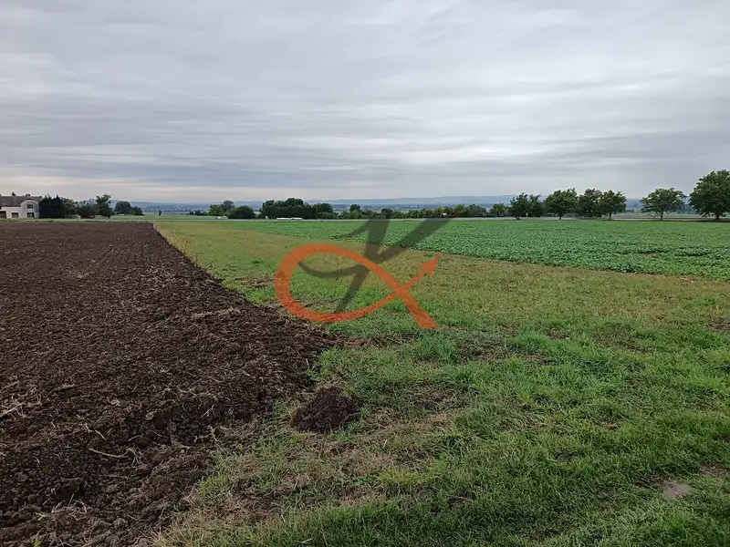 Prodej stavebního pozemku 1343 m², Stará Ves – náhled fotky 3