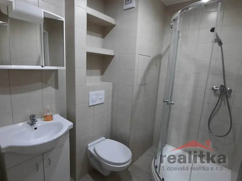 Pronájem bytu 1+kk 22 m², Opava – náhled fotky 2