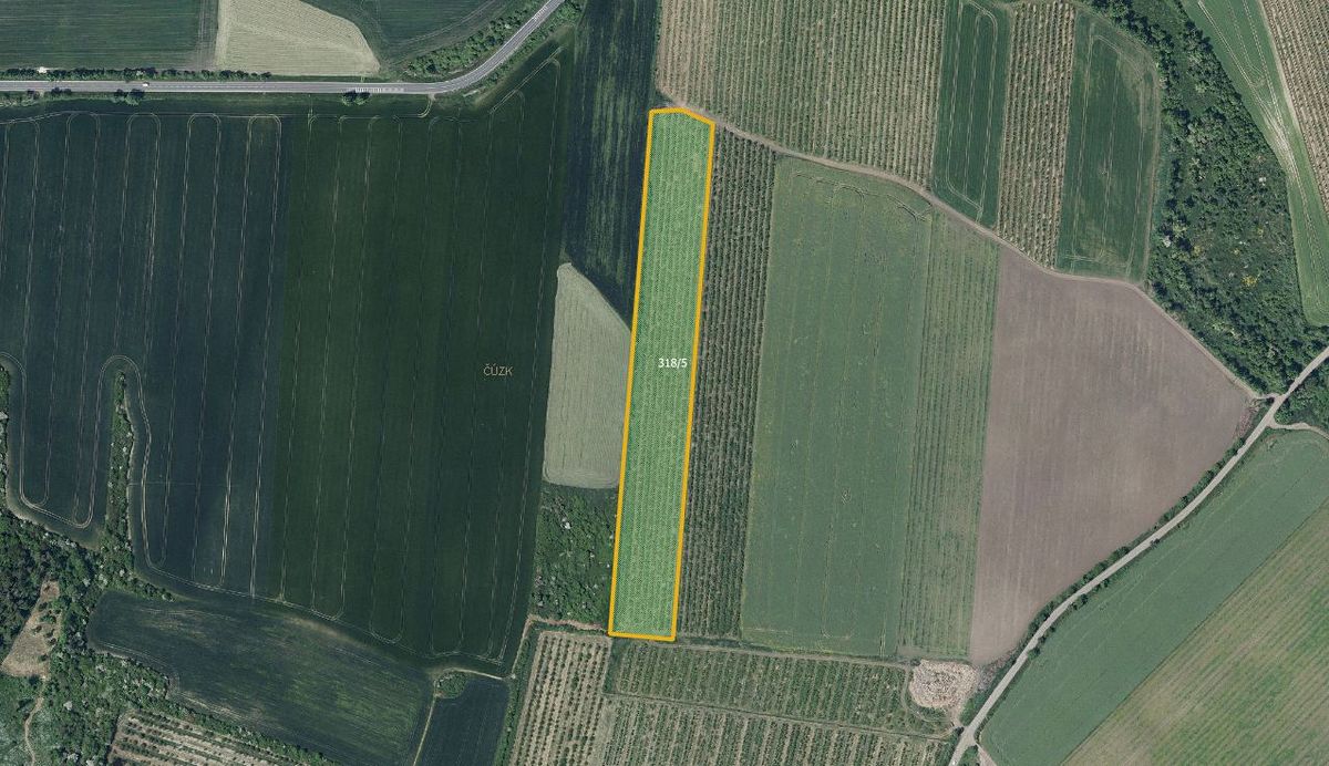 Prodej sadu, vinice 20864 m², Želkovice – fotka 1 z 3