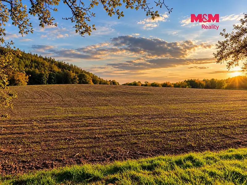 Prodej pole 5592 m², Všechovice – náhled fotky 2