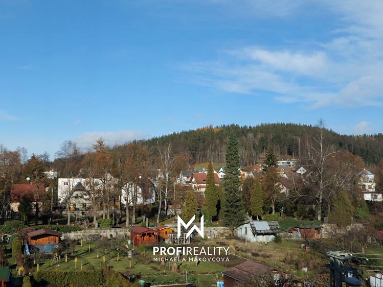 Pronájem bytu 2+1, 70 m² (16 z 18)