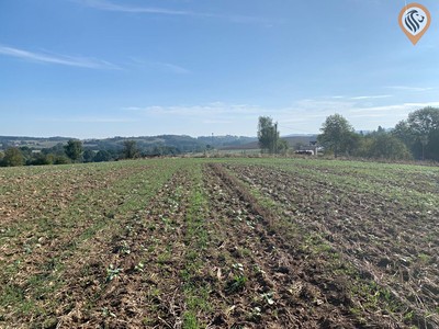 Prodej pozemku, 9 675 m² (2 z 30)