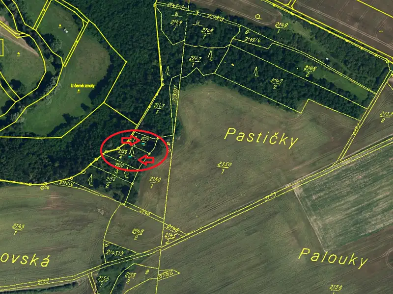 Prodej lesa 1640 m², Plaveč – náhled fotky 2