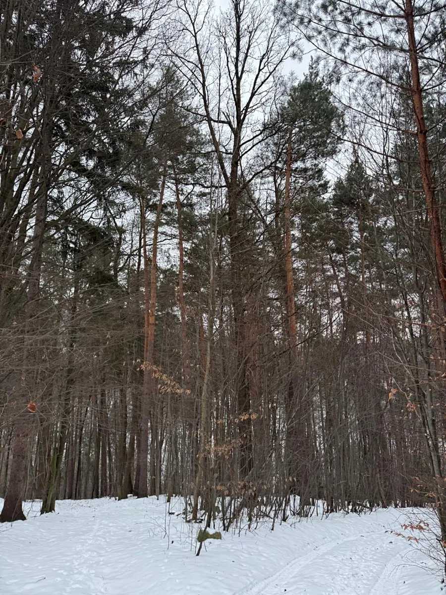 Fotka 10 z 17