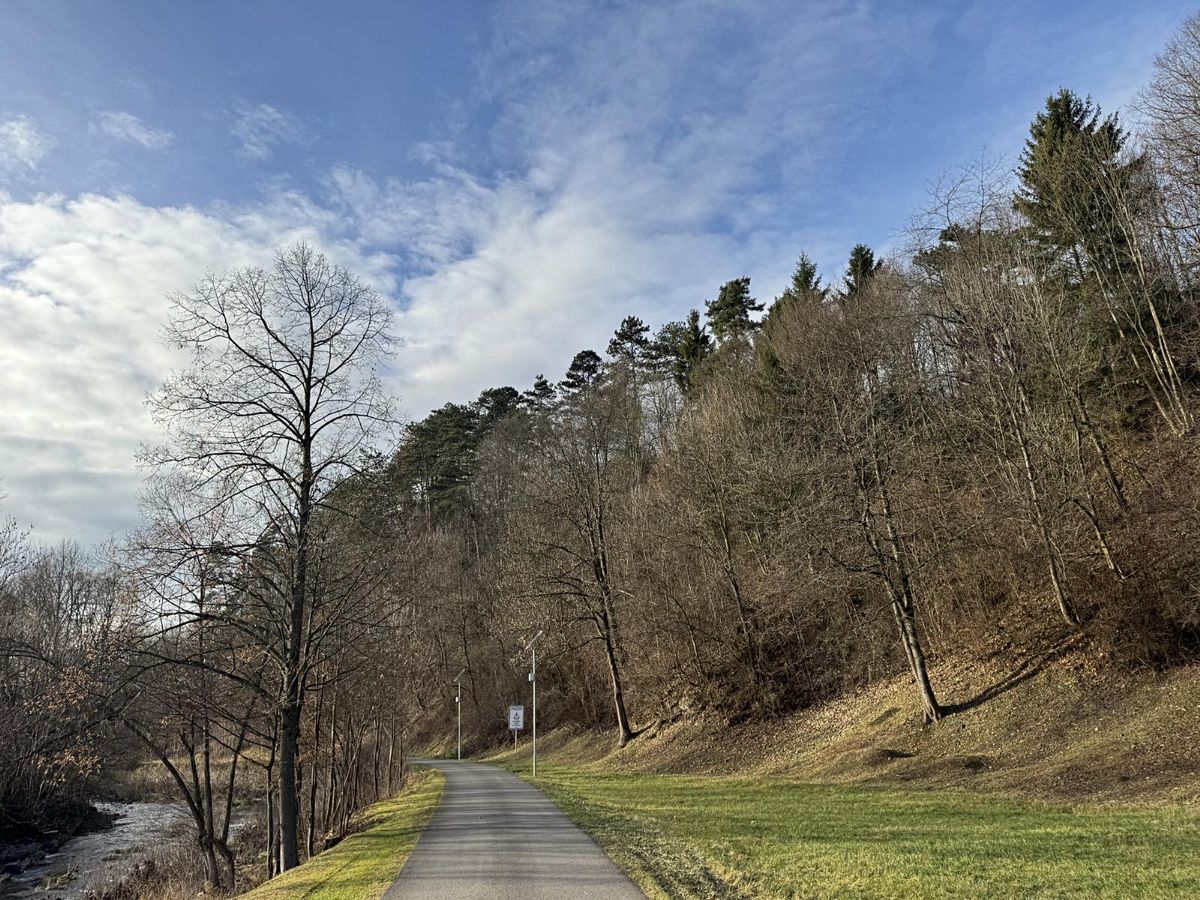 Prodej lesa 4937 m², Halenkov – fotka 1 z 3