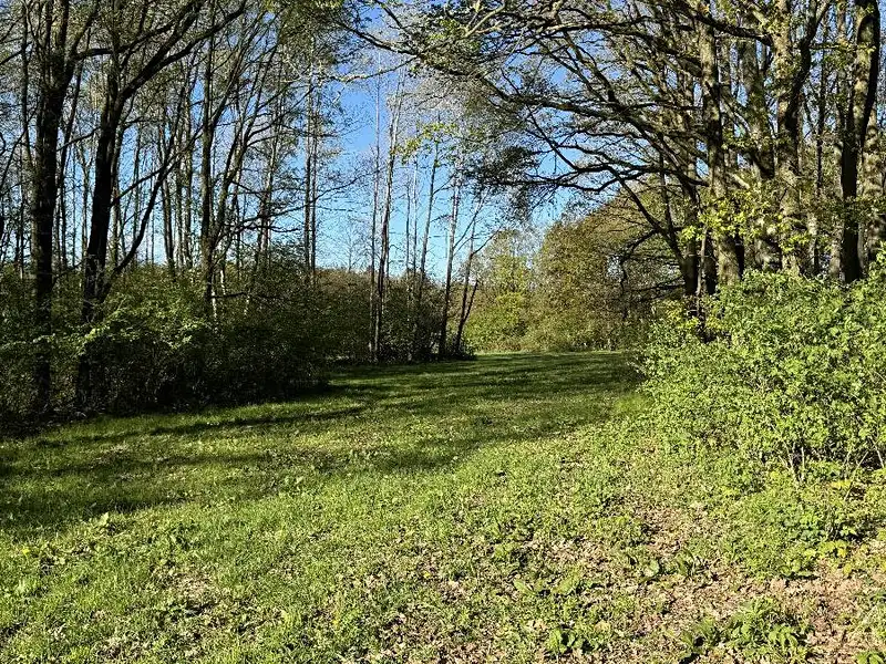 Prodej pozemku 20250 m², Čížkov – náhled fotky 2