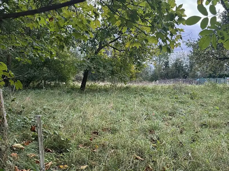 Prodej pozemku 10821 m², Velké Svatoňovice – náhled fotky 3