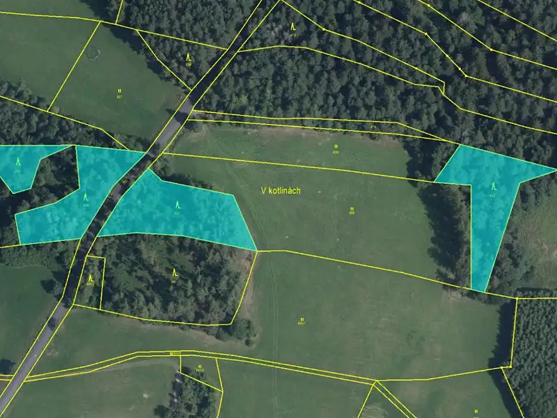 Prodej lesa 7493 m², Proseč – náhled fotky 2