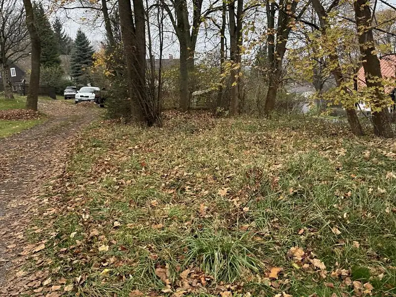 Prodej zahrady 669 m², Osečná – náhled fotky 1