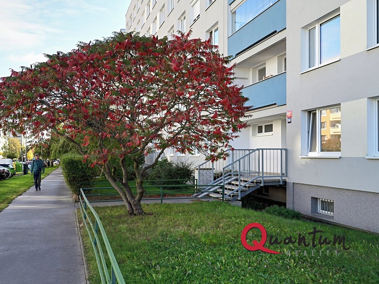 Prodej bytu 2+kk, 43 m² (13 z 18)