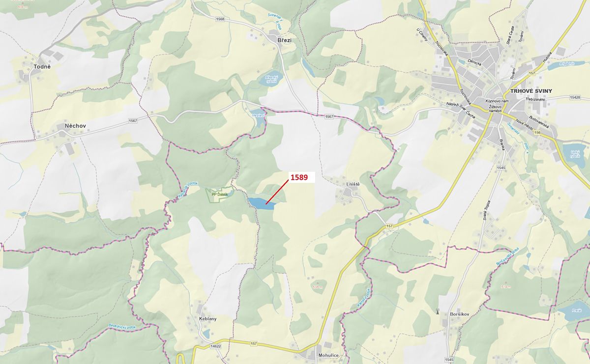 Dražba lesa 29098 m², Slavče – fotka 1 z 3