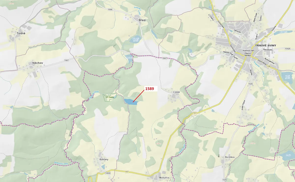 Dražba lesa 29098 m²
