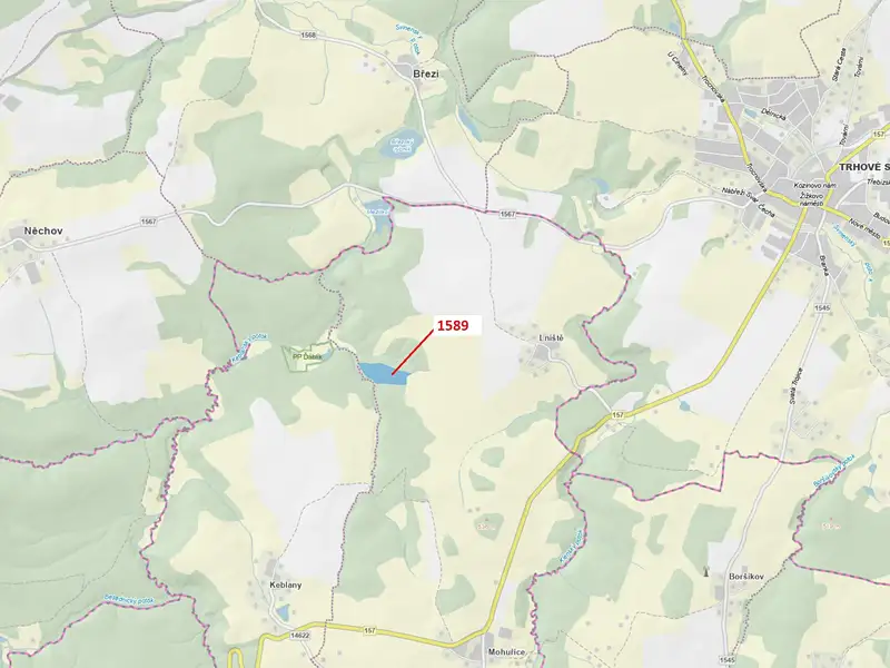 Dražba lesa 29098 m², Slavče – náhled fotky 1