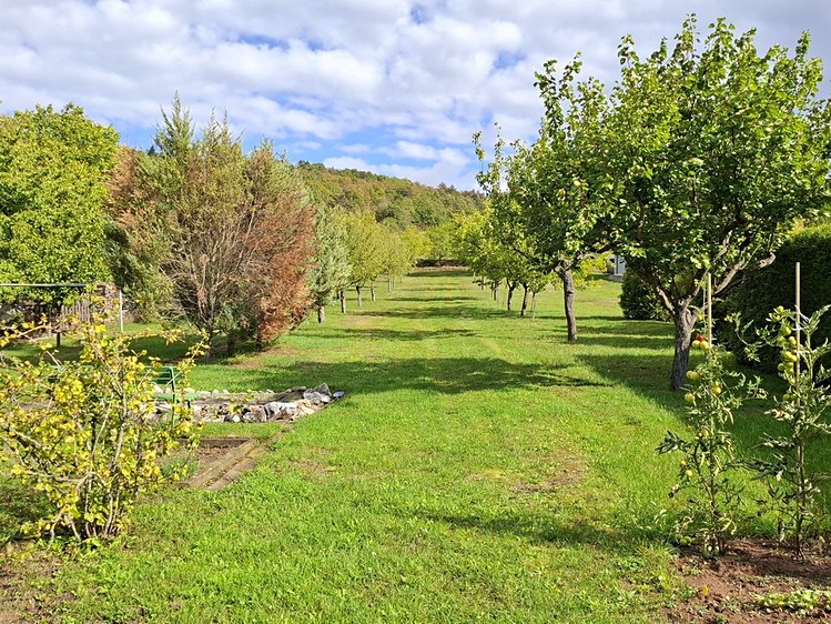 Ostatní